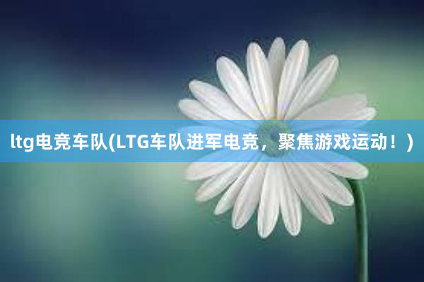 ltg电竞车队(LTG车队进军电竞，聚焦游戏运动！)