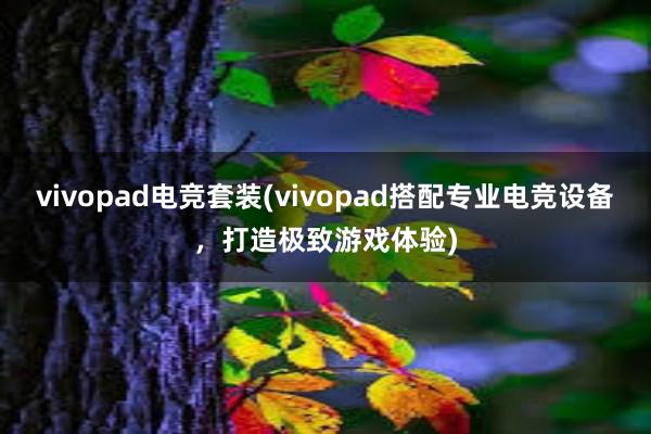 vivopad电竞套装(vivopad搭配专业电竞设备，打造极致游戏体验)