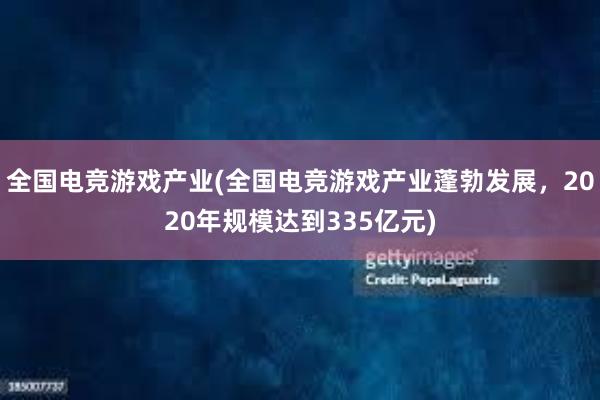 全国电竞游戏产业(全国电竞游戏产业蓬勃发展，2020年规模达到335亿元)