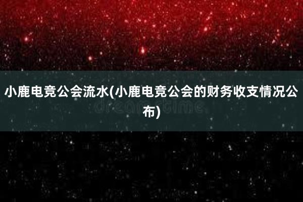 小鹿电竞公会流水(小鹿电竞公会的财务收支情况公布)