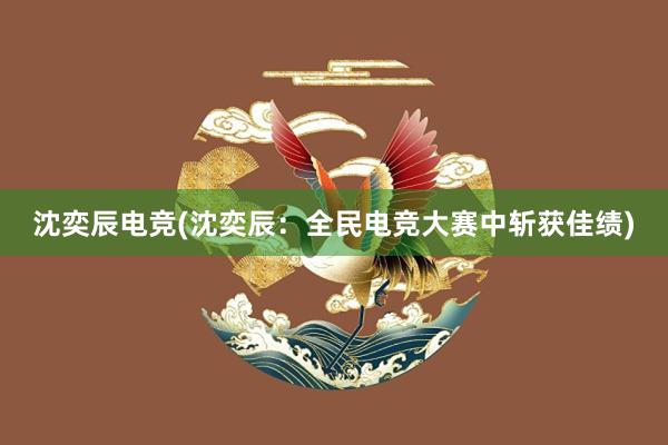 沈奕辰电竞(沈奕辰：全民电竞大赛中斩获佳绩)