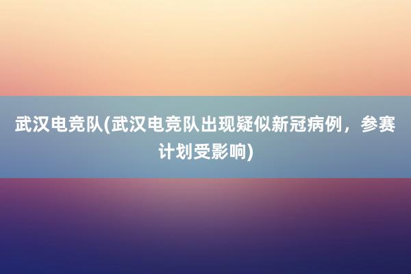 武汉电竞队(武汉电竞队出现疑似新冠病例，参赛计划受影响)