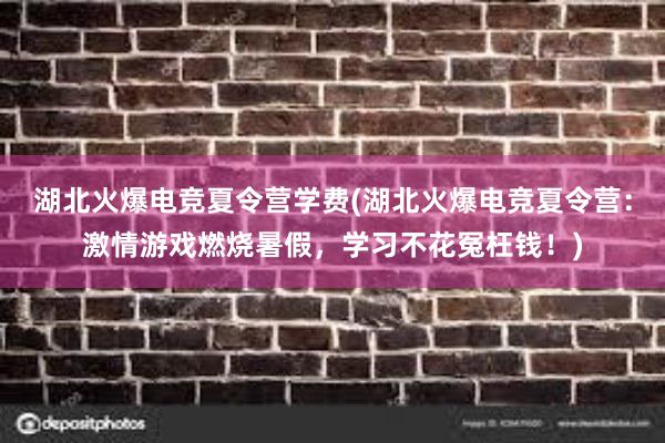 湖北火爆电竞夏令营学费(湖北火爆电竞夏令营：激情游戏燃烧暑假，学习不花冤枉钱！)