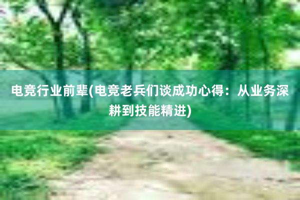 电竞行业前辈(电竞老兵们谈成功心得：从业务深耕到技能精进)