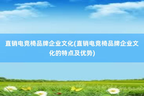 直销电竞椅品牌企业文化(直销电竞椅品牌企业文化的特点及优势)