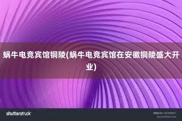 蜗牛电竞宾馆铜陵(蜗牛电竞宾馆在安徽铜陵盛大开业)