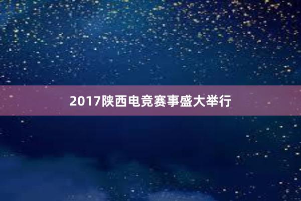 2017陕西电竞赛事盛大举行