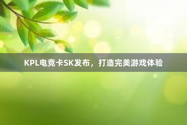 KPL电竞卡SK发布，打造完美游戏体验