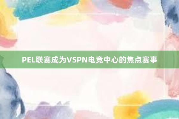 PEL联赛成为VSPN电竞中心的焦点赛事