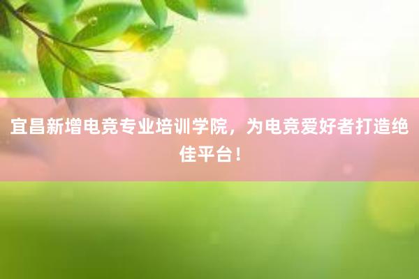 宜昌新增电竞专业培训学院，为电竞爱好者打造绝佳平台！