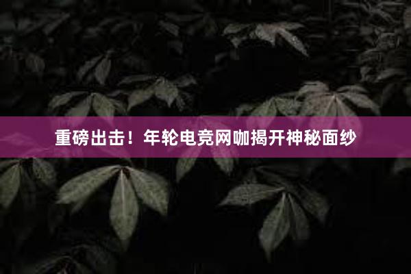 重磅出击！年轮电竞网咖揭开神秘面纱