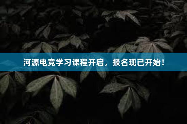 河源电竞学习课程开启，报名现已开始！