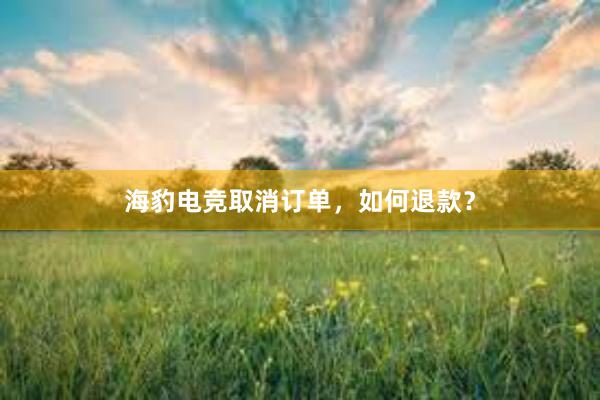 海豹电竞取消订单，如何退款？