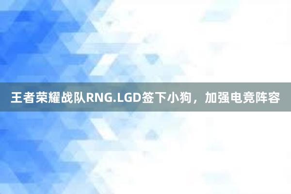 王者荣耀战队RNG.LGD签下小狗，加强电竞阵容