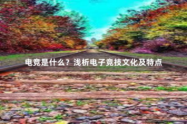 电竞是什么？浅析电子竞技文化及特点