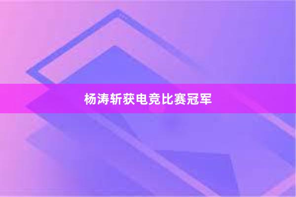 杨涛斩获电竞比赛冠军