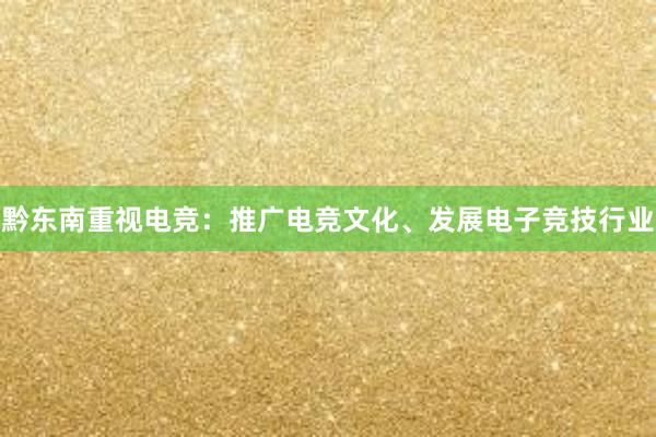 黔东南重视电竞：推广电竞文化、发展电子竞技行业