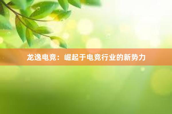 龙逸电竞：崛起于电竞行业的新势力